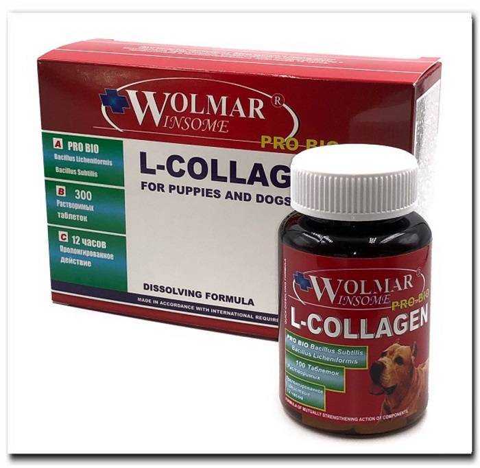 Витамины для собак для суставов. Витамины для собак колоть. Wolmar витамины для собак. Витамин е для собак.
