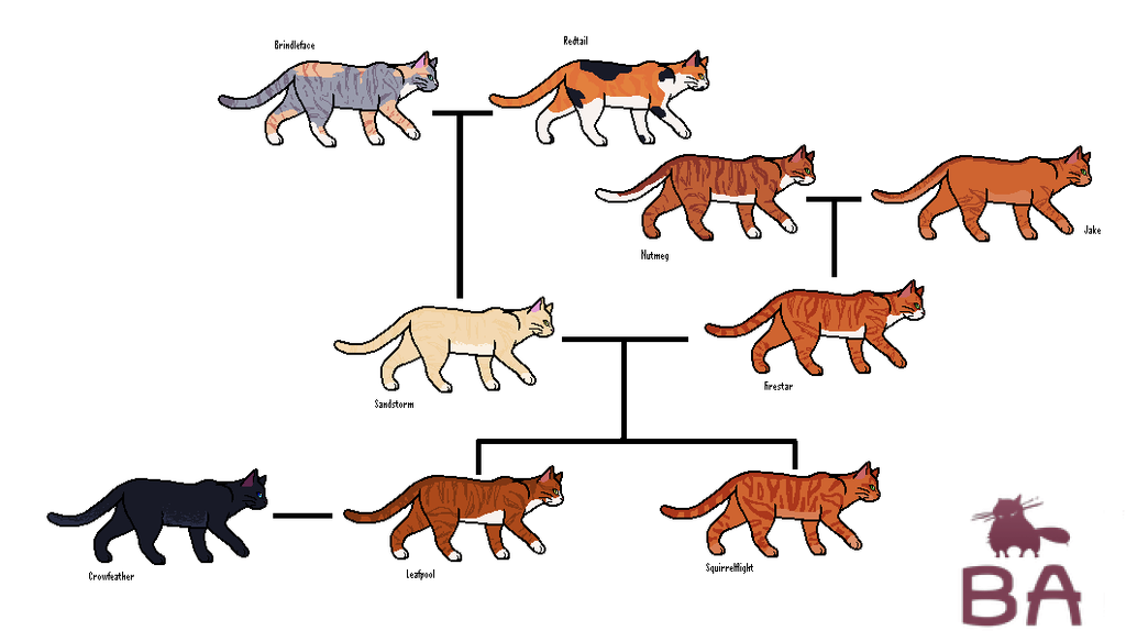 Хромосомы – на какие характеристики животных они влияют, сколько их у кошек и котов