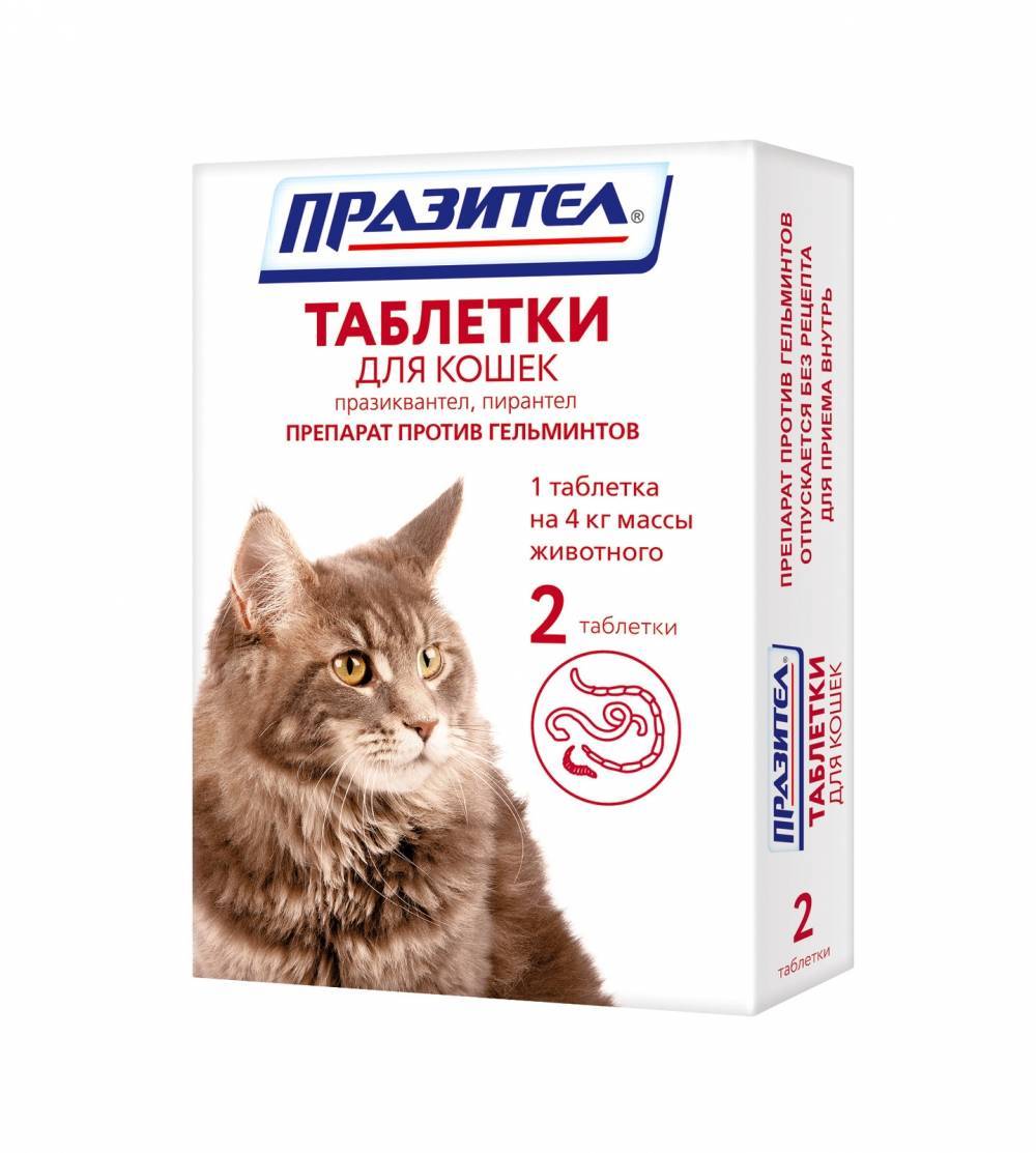Празител для кошек и котов (таблетки и суспензия): инструкция по применению у взрослых животных и котят, отзывы, аналоги