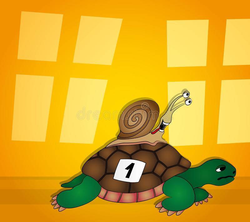 ᐉ кто быстрее: улитка или черепаха? - zoopalitra-spb.ru