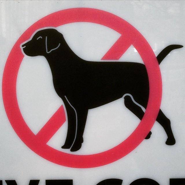 Как спокойно заходить с собакой в магазин — законы и права покупателя