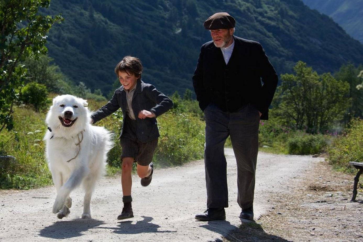 Легендарный французский фильм "белль и себастьян" - с 5 апреля во всех кинотеатрах россии! — обсуждение в группе "пиренейские горные собаки" | птичка.ру