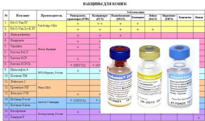 Нобивак dhppi описание вакцины и её разновидности, инструкция и применение прививки lepto