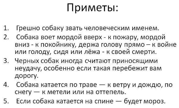Почему моя собака лает на меня?