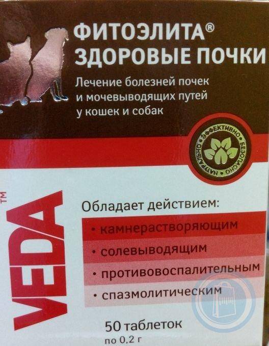 Препарат для собак ceva галастоп для лечения ложной беремен. и подавления лактации у сук (60 г, 15 мл) - цена, купить онлайн в москве, интернет-магазин зоотоваров - все аптеки