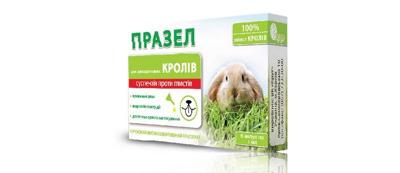 Глисты у кроликов лечение и первые симптомы, чем пропоить животных, что дать самостоятельно - kotiko.ru