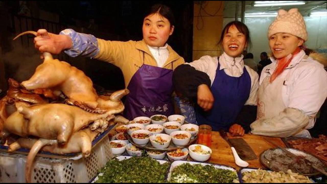 Не все корейцы едят собак