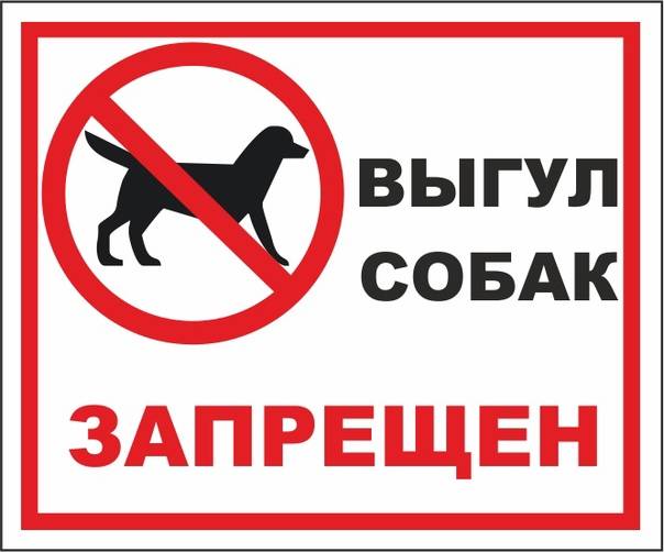 Закон о выгуле собак в 2021 году: правила и штрафы в россии