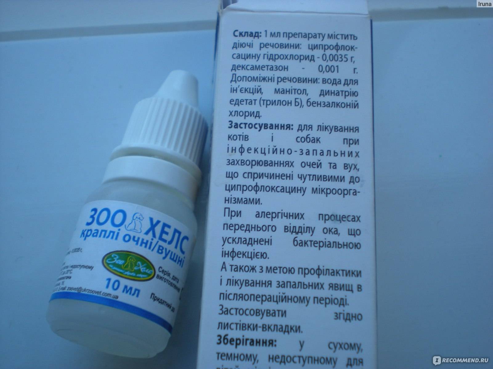 Максидин для кошек: инструкция по применению