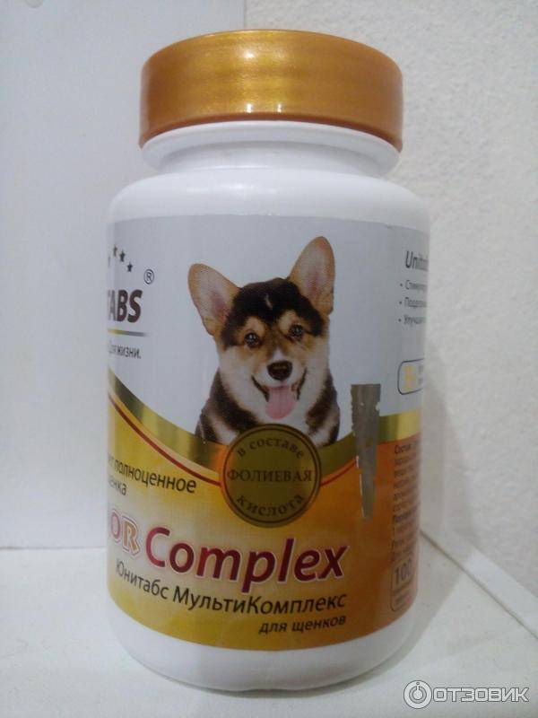 Какие витамины нужны собаке и щенку для шерсти, суставов и лап