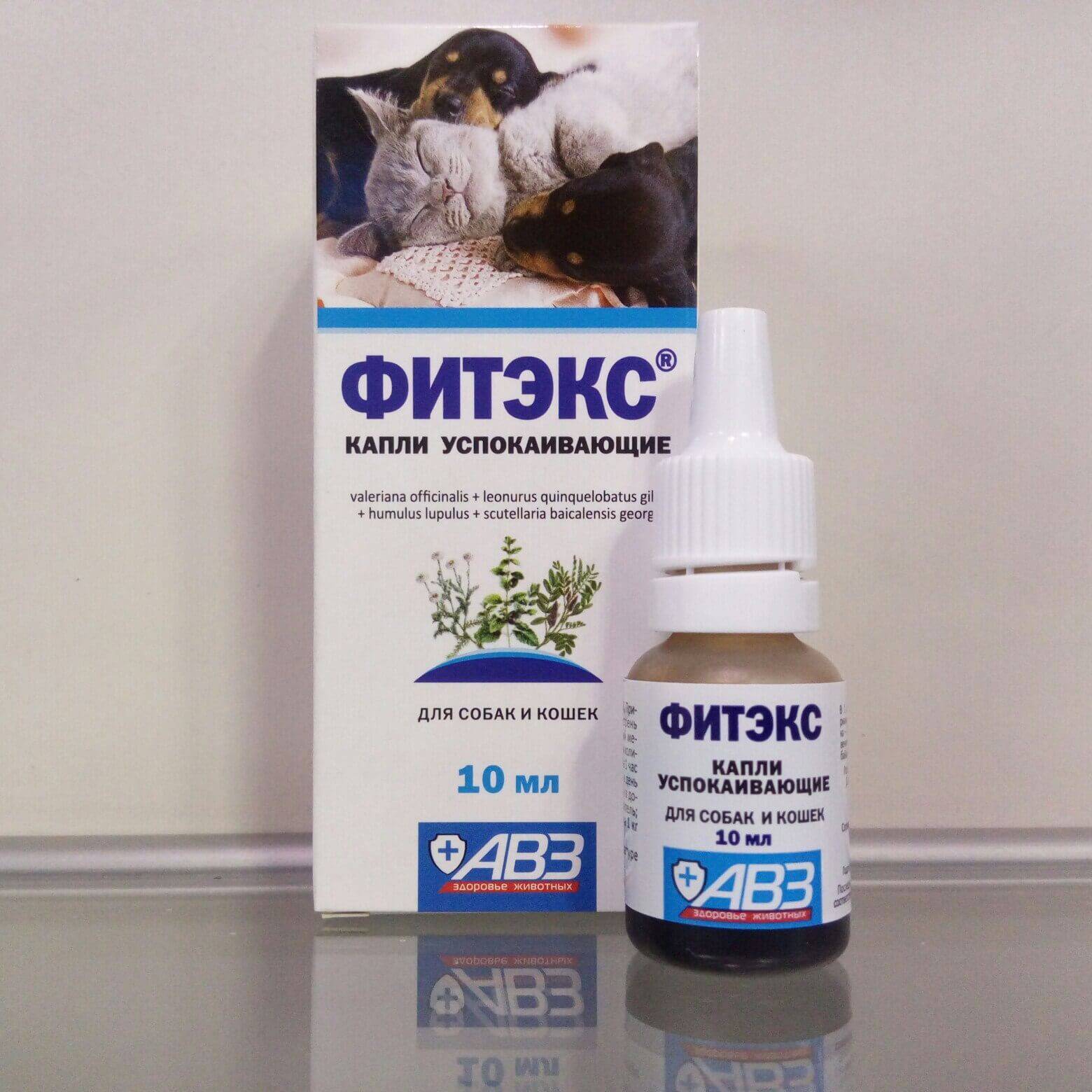 Успокоительные средства для кошек: седативные препараты, их применение, противопоказания, когда лучше обойтись без них