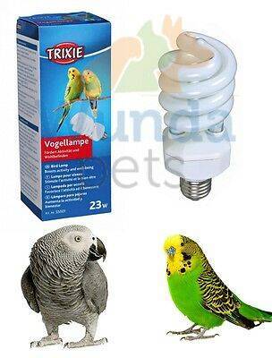 Лампа для попугая - какую лампу купить: ультрафиолетовая, аркадия