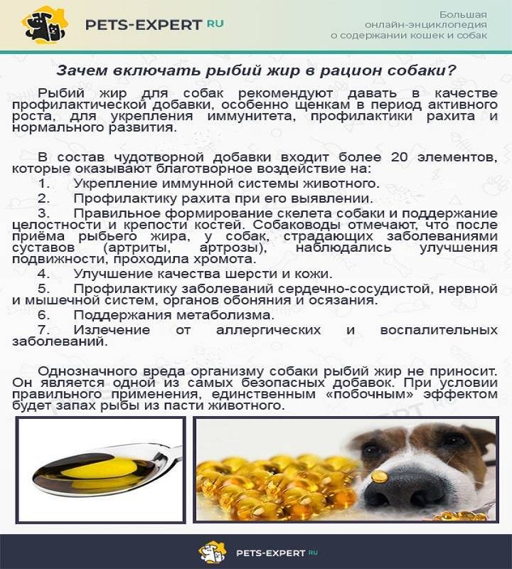 Рыбий жир для собак дозировка, польза и форма выпуска