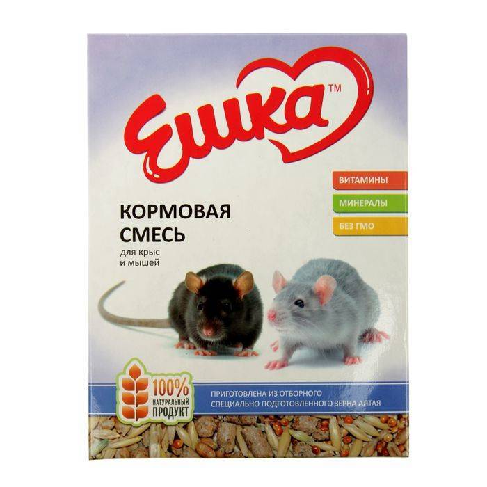 Как выбрать корм для крысы: обзор и рейтинг популярных брендов