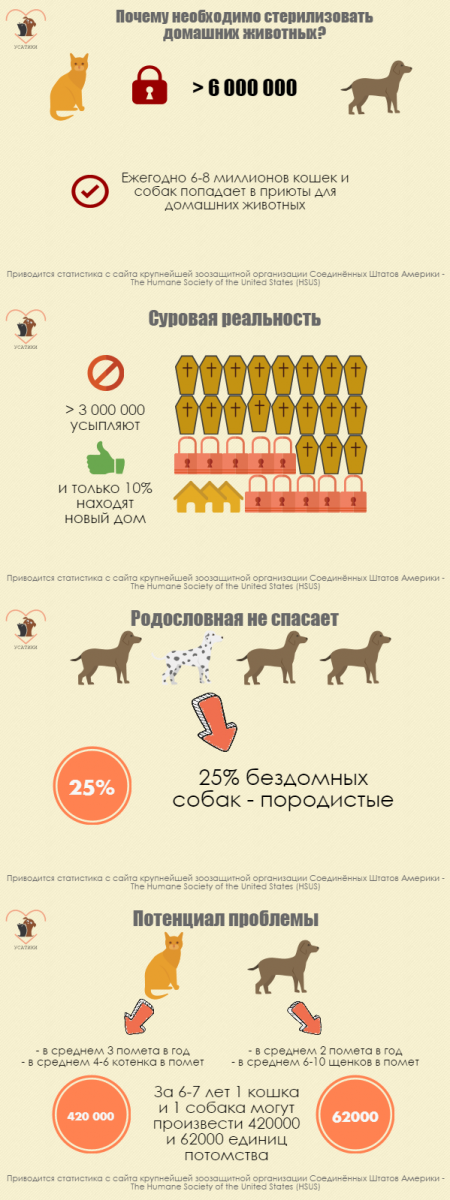 Ученые доказали, что собаки лучше кошек - dogtricks.ru