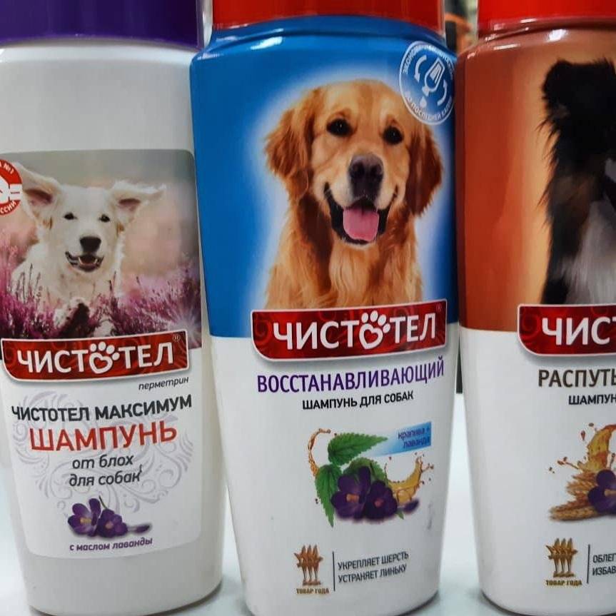 Обзор самых лучших профессиональных гипоаллергенных шампуней для собак и щенков