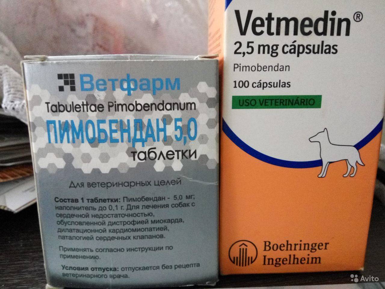 Ветмедин – препарат для лечения сердечной недостаточности у собак