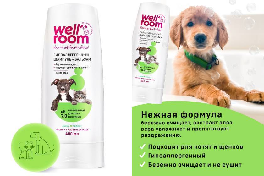 Как выбрать шампунь для собак - краткое руководство для коротко- и длинношёрстных пород, гипоаллергенные