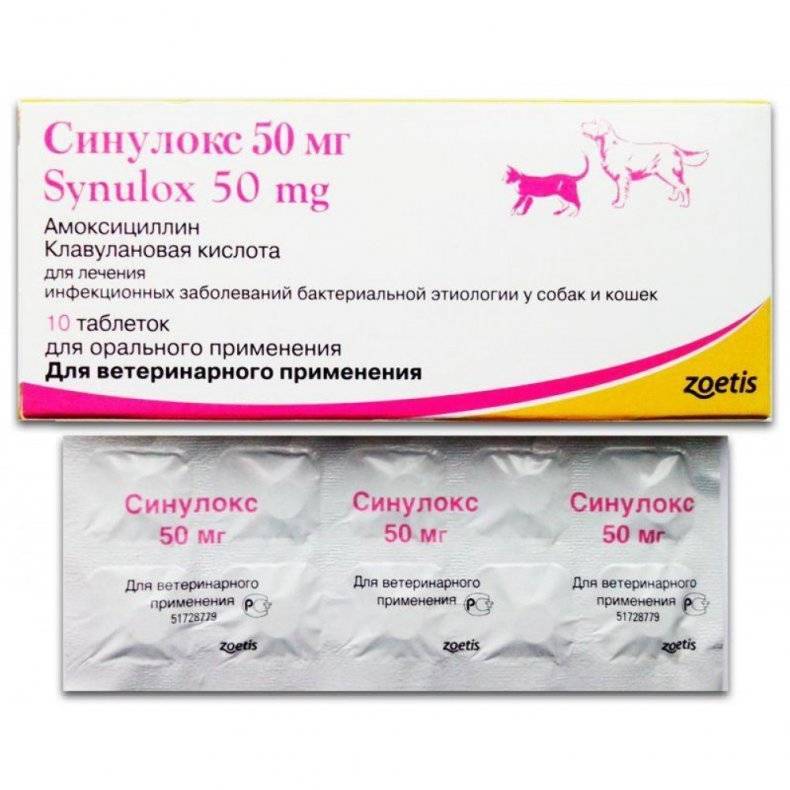Синулокс для кошек. инструкция по применению таблеток синулокса 50 мг кошкам