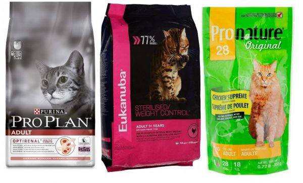 Обзор сухих кормов от бренда pronature holistic для котенка и взрослой кошки