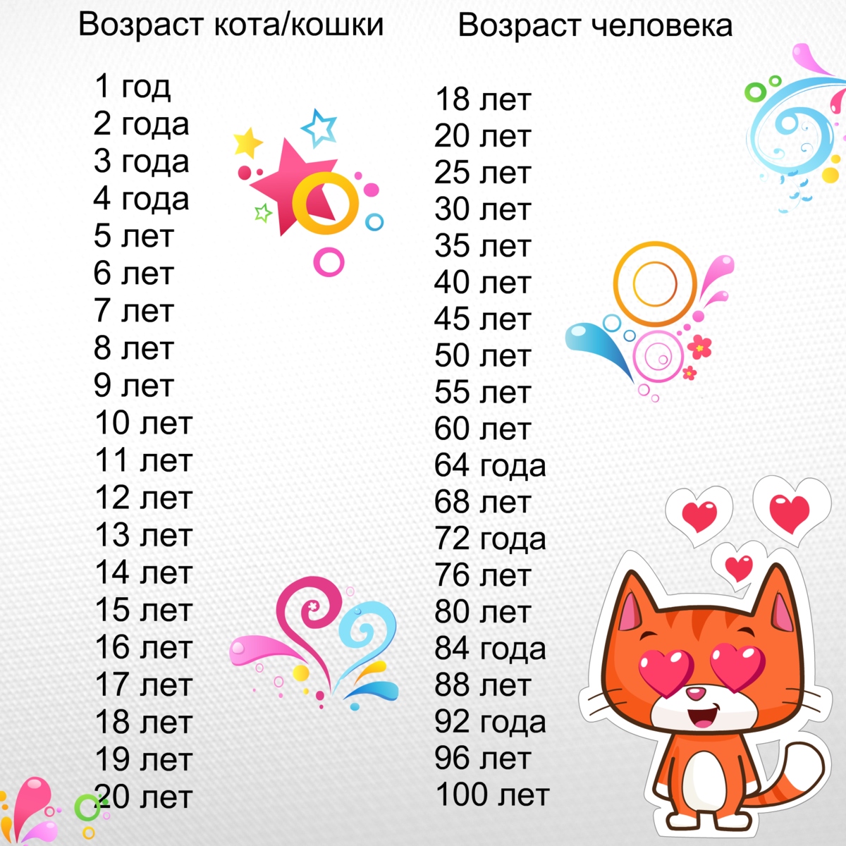 Возраст кошки по человеческим меркам: таблица расчёта лет