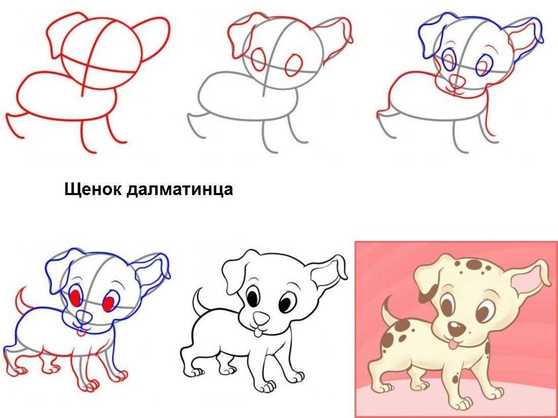 Как нарисовать лёгкий рисунок для начинающих, розу, кошку, собаку, девочку, машину. что можно легко нарисовать для детей. как научиться рисовать животных, цветы, машину, девочку, ангела
