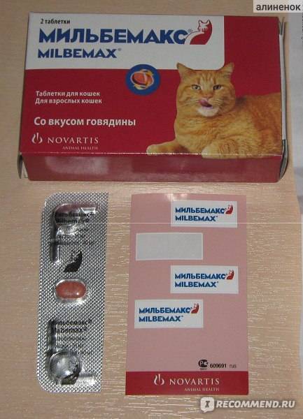 Мильбемакс для кошек: инструкция по применению, дозировка и эффективность лечения