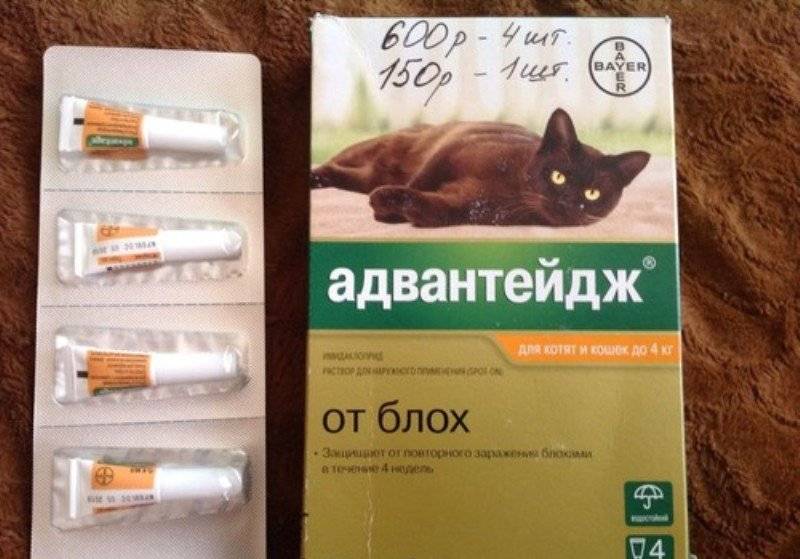 Адвантейдж для кошек