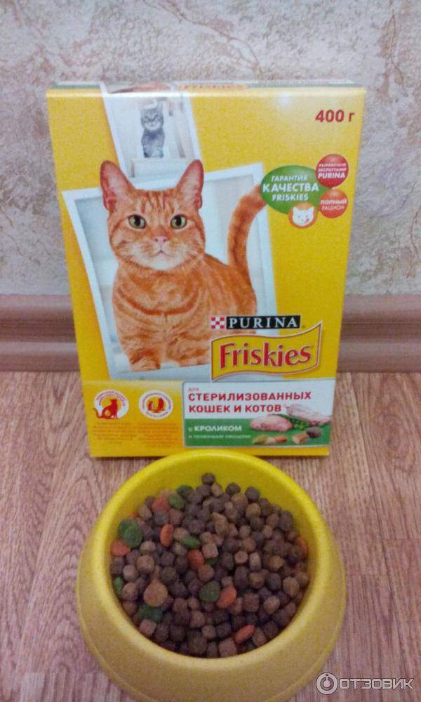 Какой корм по мнению ветеринаров самый лучший для кошек - kotiko.ru