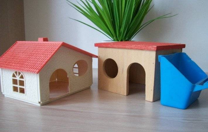 Домики для хомяка (24 фото): особенности деревянных и керамических домов. что класть в качестве подстилки в домики из картона и фанеры?