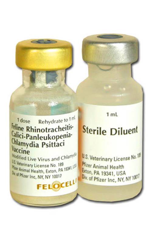 Вакцина фелиген для кошек – инструкция по применению
