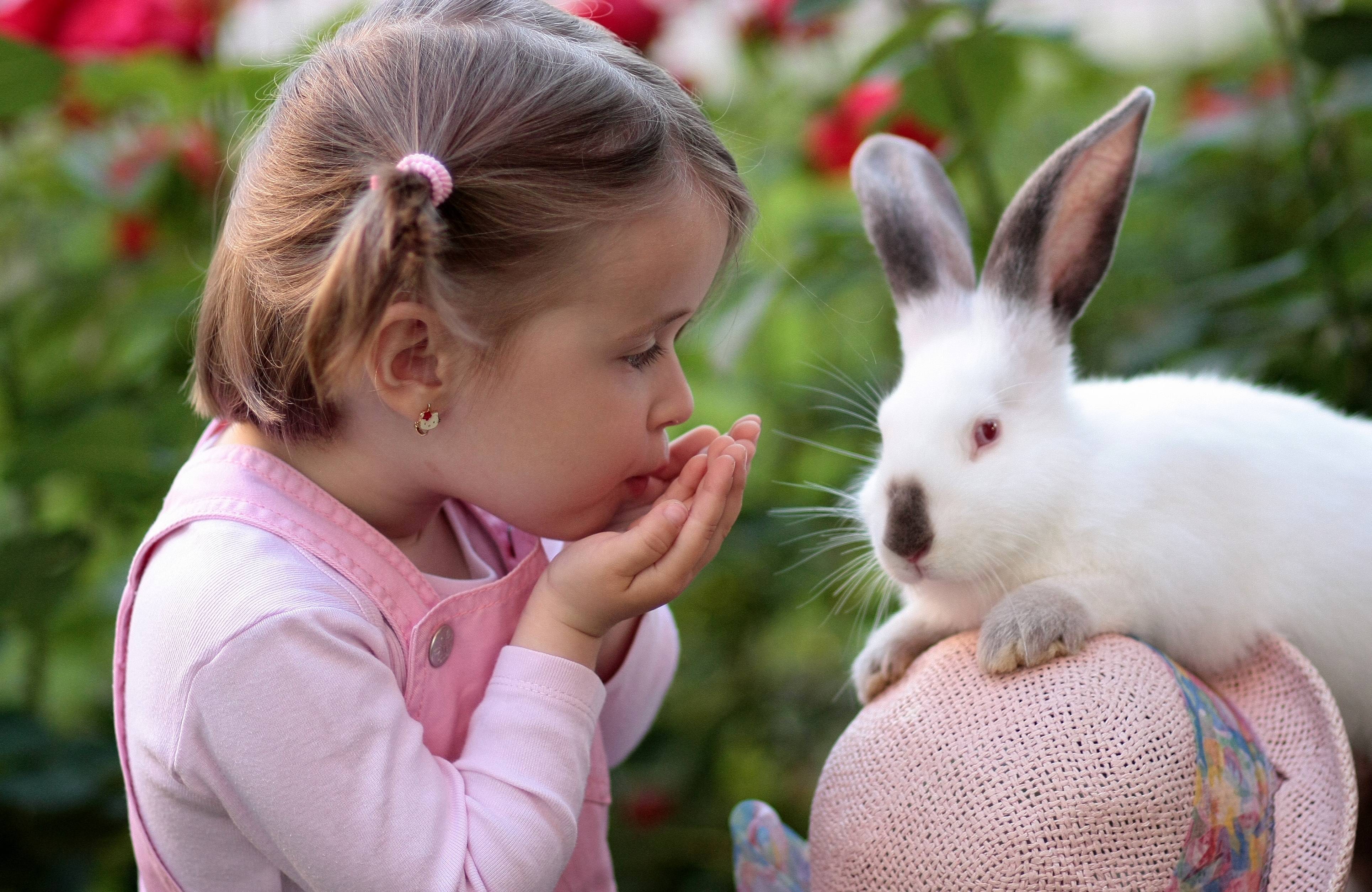 Разведение кроликов в домашних условиях: содержание, размножение и выращивание