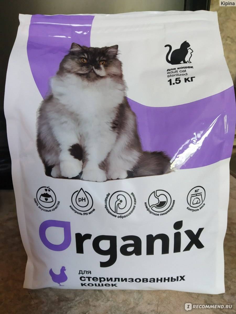 Обзор корма для кошек organix