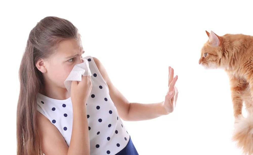 Аллергические болезни и озонотерапия как метод их лечения