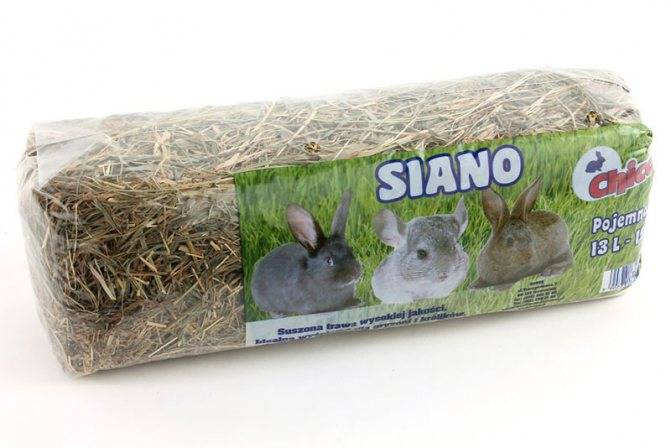 Сено для кроликов - кормление кроликов | описание, советы, отзывы, фото и видео