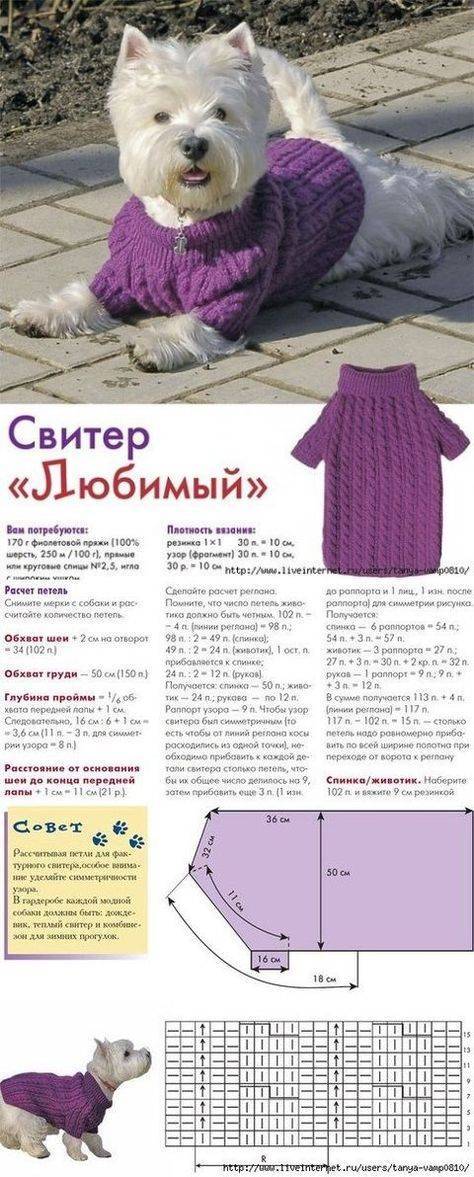 Свитер для собаки крючком: как связать начинающему art-textil.ru