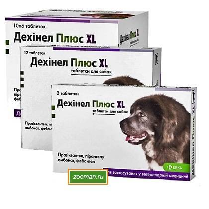 Дехинел плюс для собак – эффективный антигельминтный препарат
