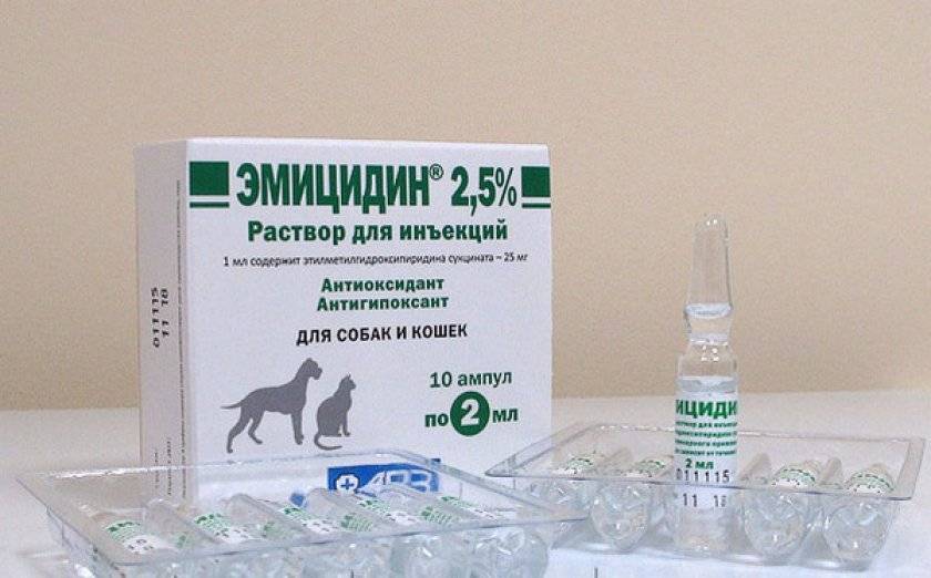 Свойства и особенности приема препарата эмицидин для лечения собак