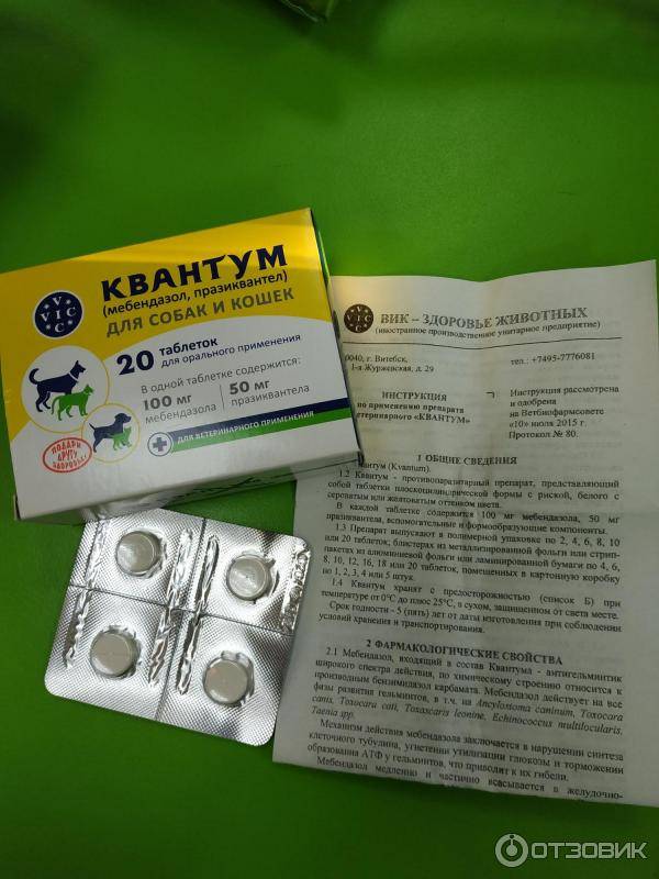 10 лучших глистогонных средств для собак и кошек - рейтинг 2020