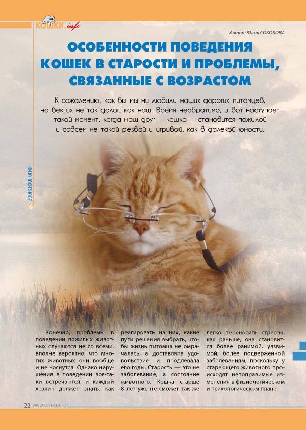 =^..^= фелинологический альянс украины - психология и психологические проблемы кошек