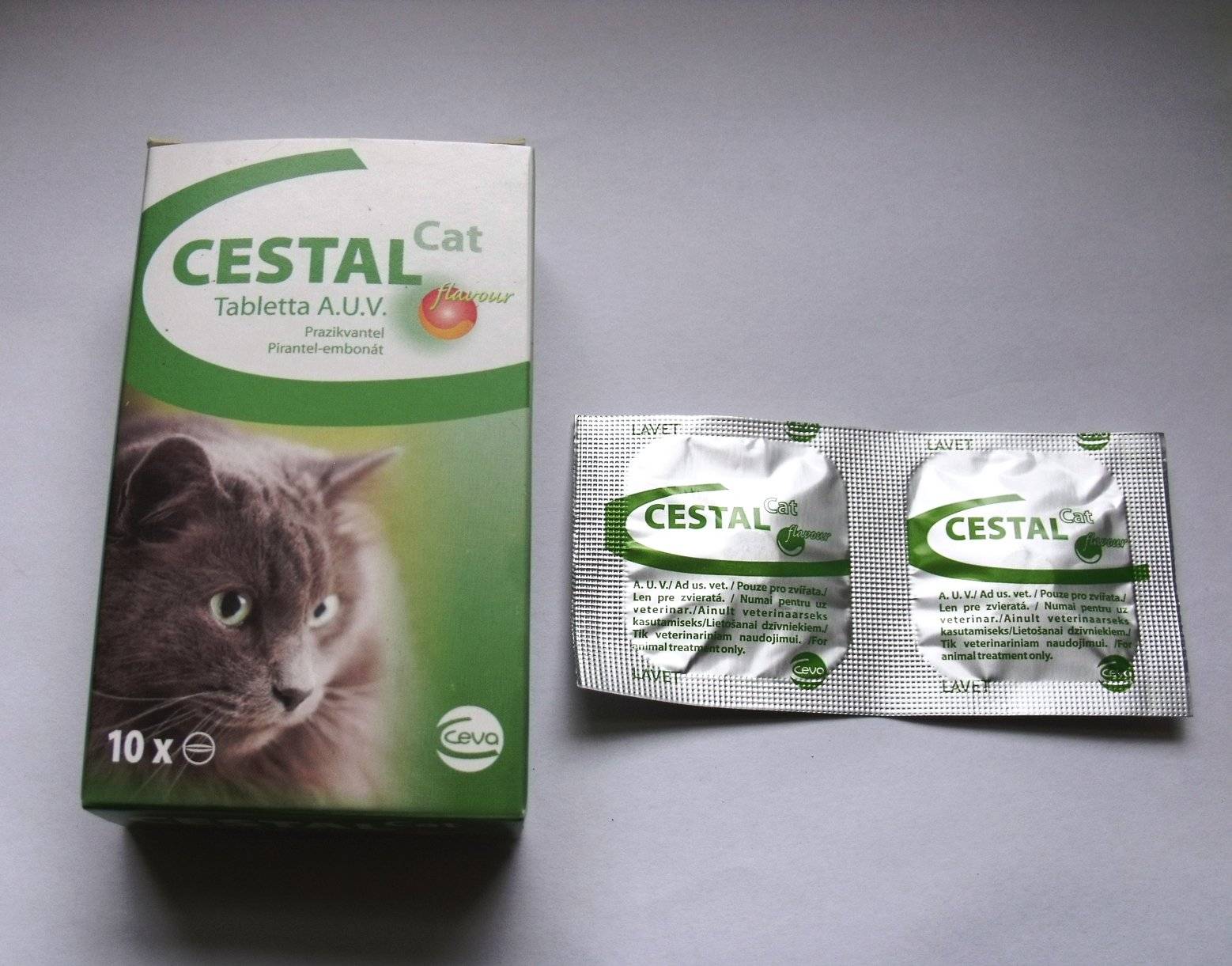 Цестал для кошек: 130 фото и инструкция использования препарата