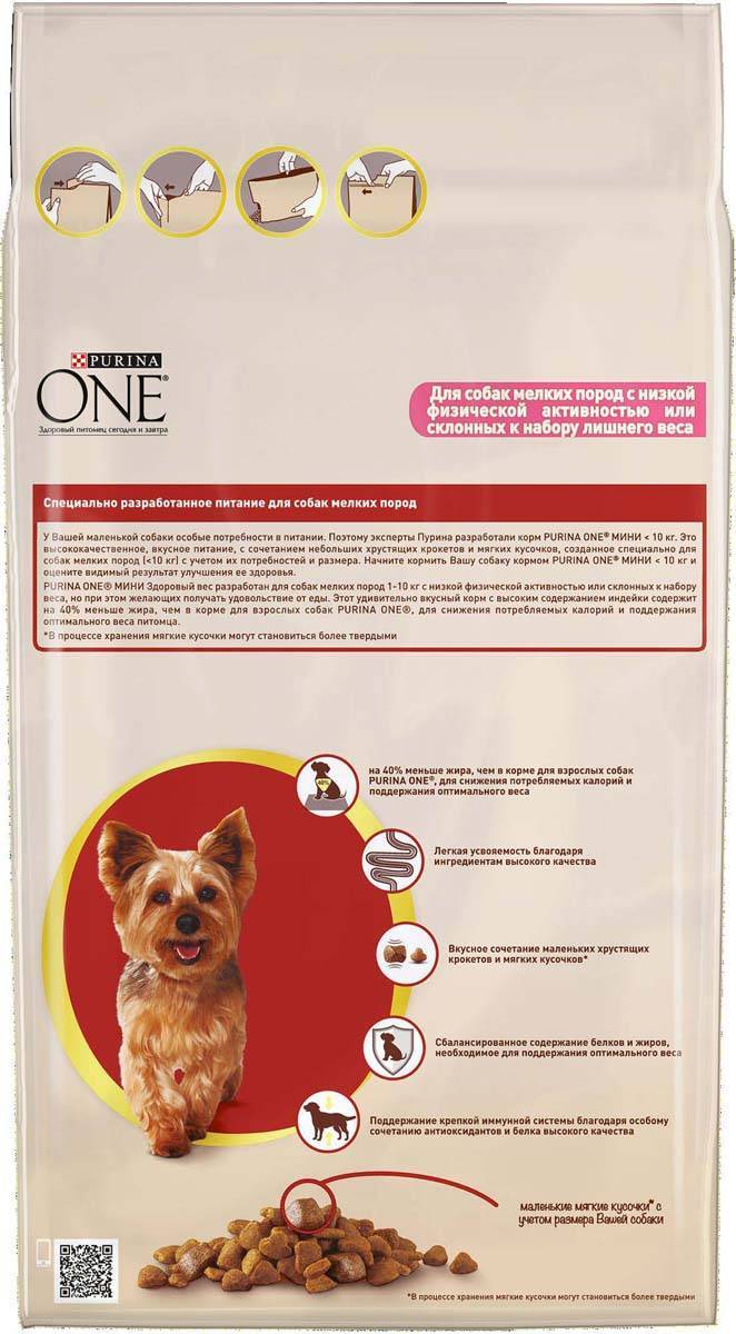 Корм для собак pro plan: отзывы и разбор состава