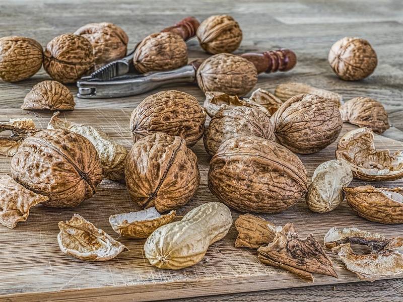 Магические орехи – 6 видов плодов, используемых в ритуалах