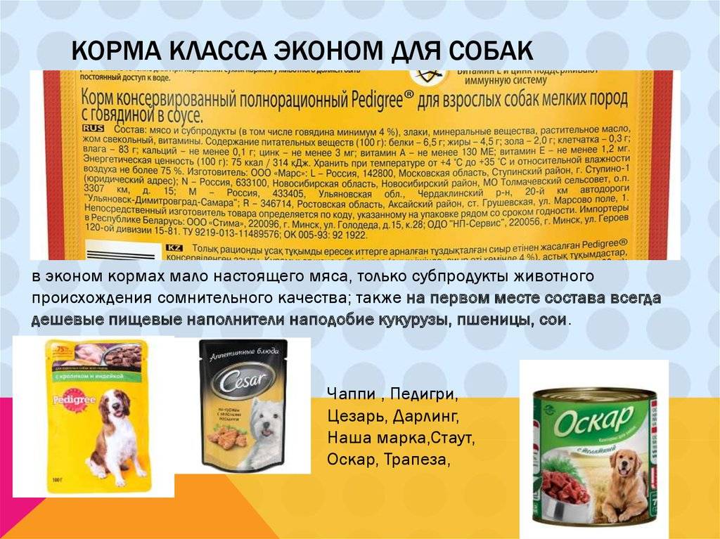 Рейтинг сухих кормов для собак: выбор корма для крупных и мелких пород
