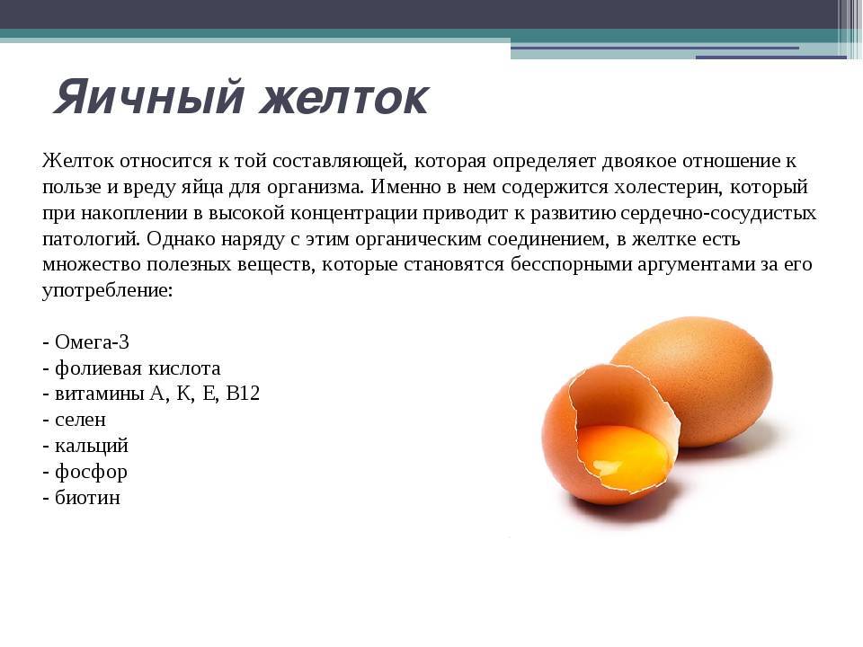 Яйца. инструкция по безопасности