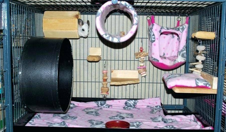 Клетки для крыс своими руками: варианты и пошаговая инструкция