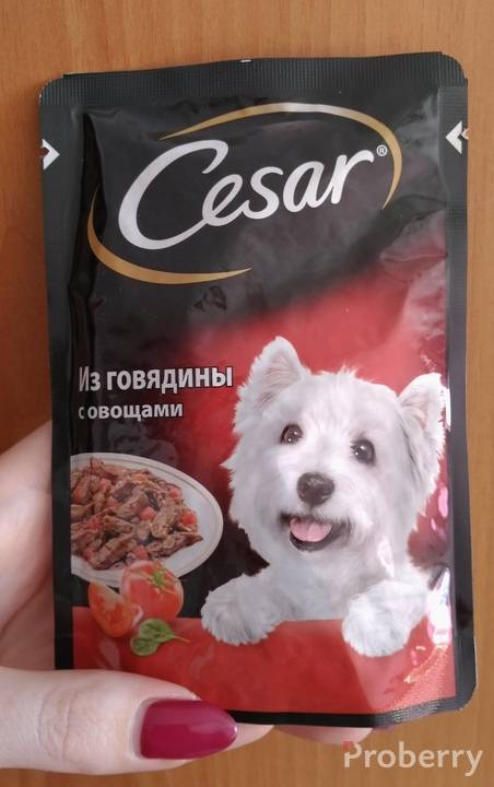 Цезарь — собачий корм супер-премиум класса