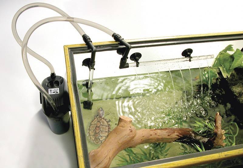 Как оборудовать аквариум для красноухой черепахи
