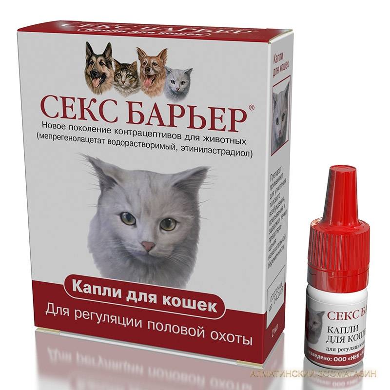 Препараты для регуляции полового поведения кошек