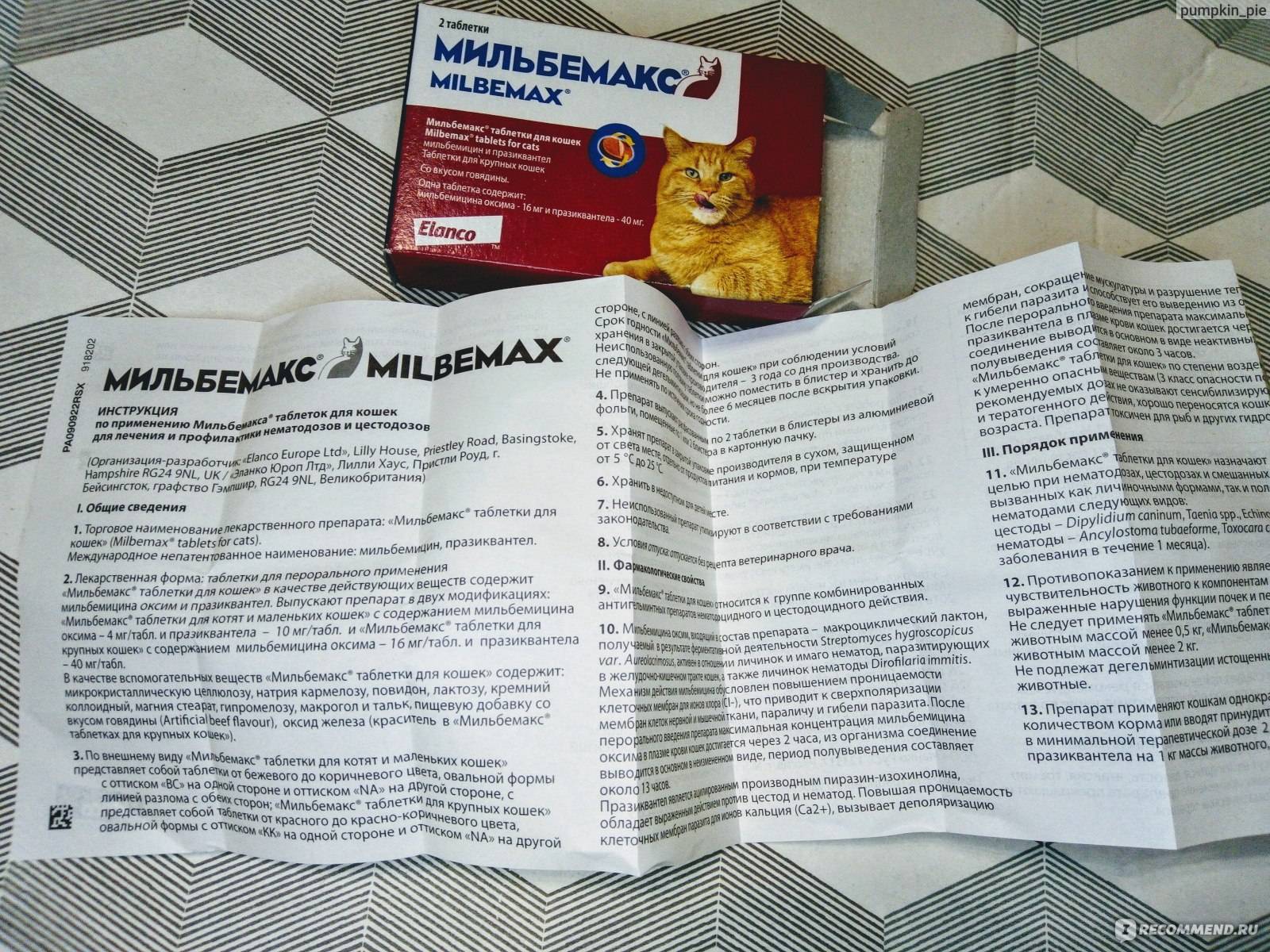 Мильбемакс для кошек и котят: инструкция по применению, аналоги, отзывы